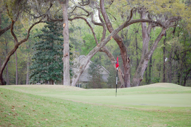 Callawassie Golf Club live oaks