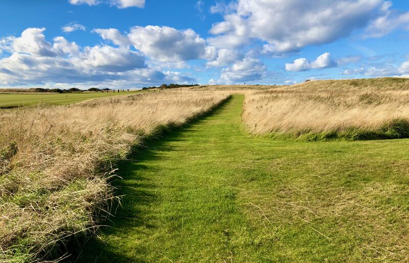 Crailpaththroughheather