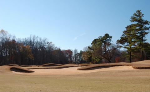 tanglewood5behindfwybunkers.jpg