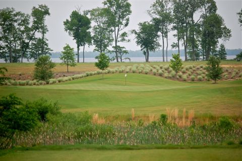ScotchHall14par3fromtee