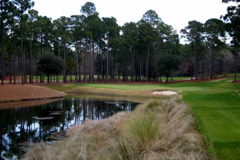 tpcmyrtlebeachpar3.jpg